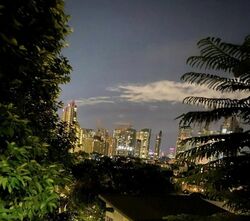 Bukit Tunggal Road (D11), Detached #458589351